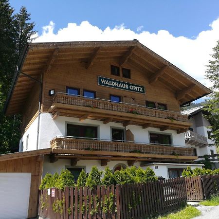 Apartment Waldhaus Opitz Zell am See Eksteriør bilde
